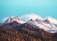 开云体育官网-威姆斯社媒分享到队片段并配文：街球皇帝，回归职业